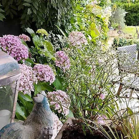 Au Coeur De Menesterol Emotion Bed & Breakfast 3*